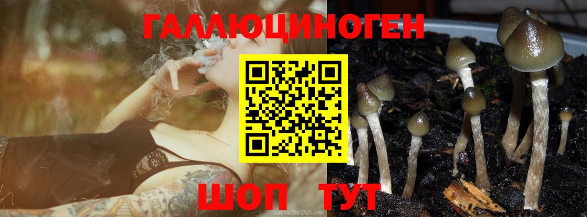 Галлюциногенные грибы мухоморы  Галлюциногенные грибы Psilocybe  Алушта  Вход с VPN 