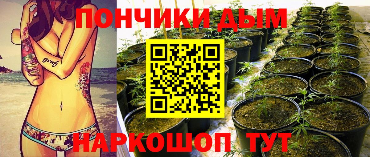 Алушта  Каннабис Bruce Banner  Бошки марихуана гибрид  Вход с VPN  Канабис план  Бошки марихуана MAZAR 